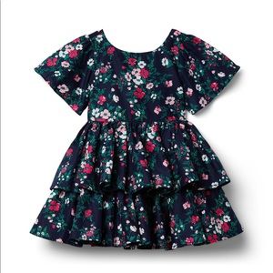 New without tags Janie and Jack dress.